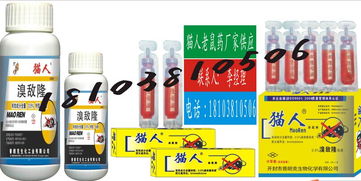 家居日用品 日常生活中的贴心伴侣